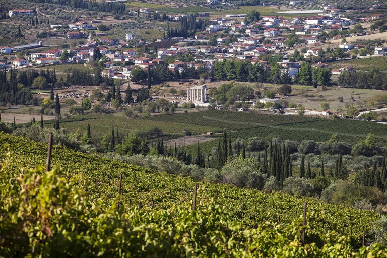 Ασθενής σεισμική δόνηση κοντά στη Νεμέα…