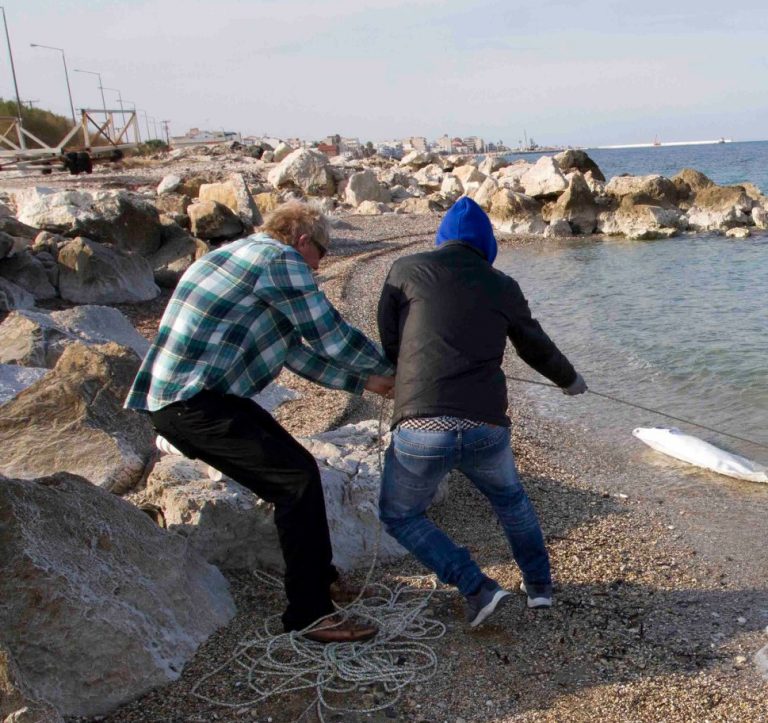 …Και όμως αυτά βρέθηκαν στο αλιευτικό καταφύγιο στο Κιάτο!