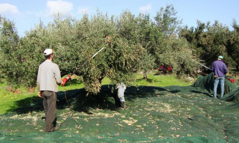 Συζητήθηκαν τα σημαντικά προβλήματα που αντιμετωπίζουν οι παραγωγοί της Κορινθίας…