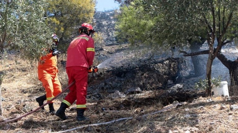 ΞΥΛΟΚΑΣΤΡΟ- ΕΥΡΩΣΤΙΝΗ: Η φωτιά στην αγροτοδασική έκταση στην Αμφιθέα οδήγησε στη σύλληψη του υπαίτιου…