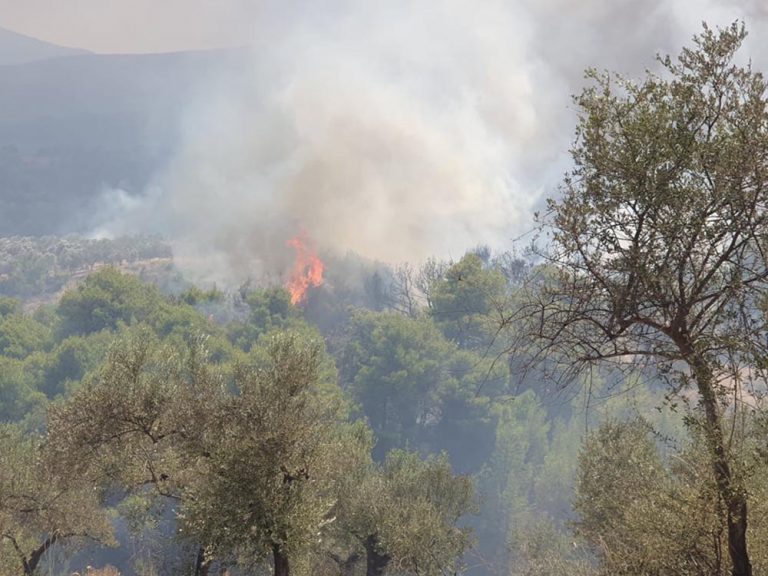 ΒΕΛΟ-ΒΟΧΑ: Που βρίσκεται η φωτιά στο Καλέντζι τώρα (14:40)