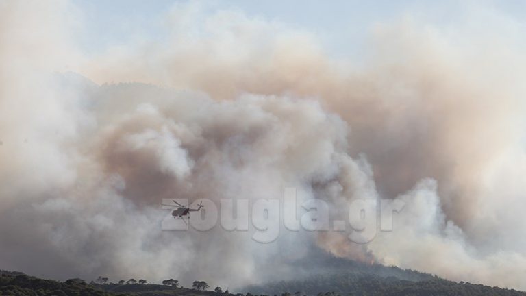 ΛΟΥΤΡΑΚΙ: Εγκληματική αμέλεια πίσω από την πυρκαγιά στο Σχίνο