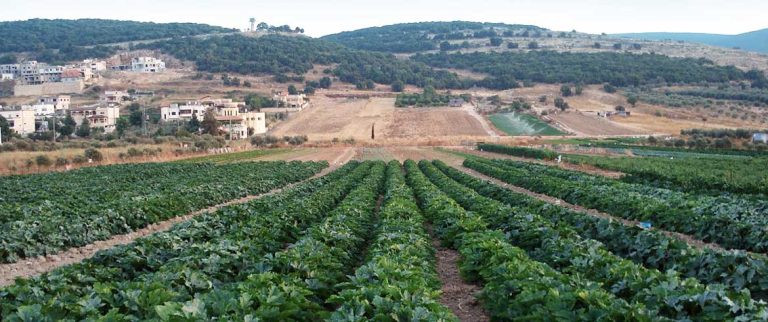 ΒΕΛΟ: Ξέφυγε η κατάσταση! -Αθίγγανοι λήστεψαν αγρότη μέσα στο κτήμα του και έφυγαν …σαν κύριοι!