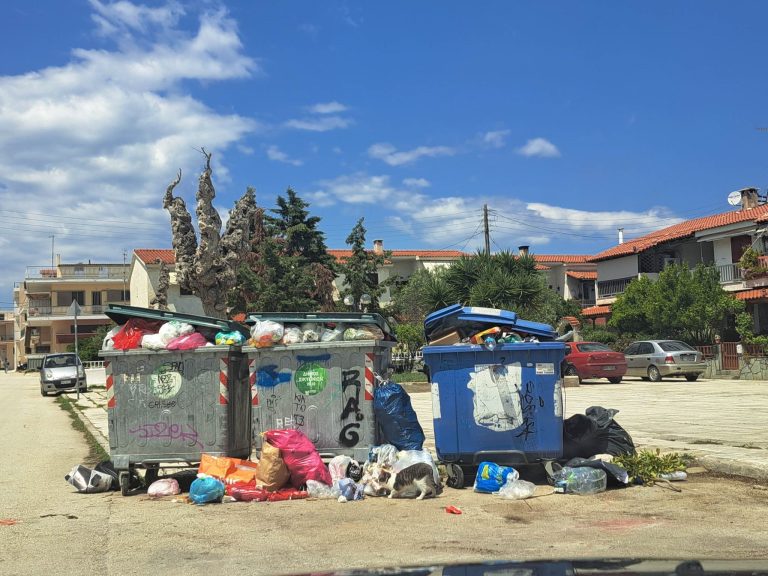 ΚΙΑΤΟ: Καθαριότητα σε “μαύρο χάλι” -Κίνδυνος για τη δημόσια υγεία!