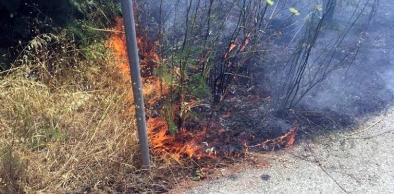 ΚΟΡΙΝΘΙΑ: 500 ευρώ πρόστιμο σε άντρα που έκαιγε ξερά χορτάρια