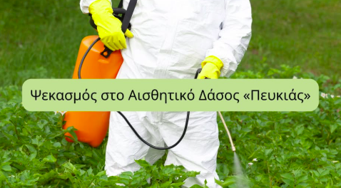 ΞΥΛΟΚΑΣΤΡΟ: Μην πηγαίνετε στο δάσος του Πευκιά! -Πόσο θα διαρκέσει η εργασία…