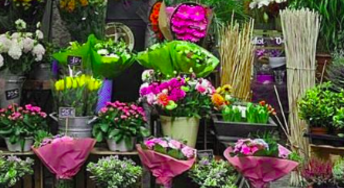 22χρονος κάτοικος Κορίνθου “χτύπησε” σε ανθοπωλείο στο Λουτράκι! -Τι αφαίρεσε…