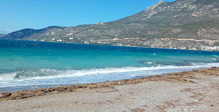 Τα ξύλα του Κορινθιακού …τα έφερε η θάλασσα στο Λουτράκι (φωτο)