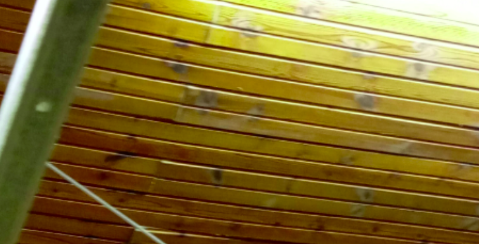 ΚΙΑΤΟ: “Καταρρέει” η σκεπή στο π. δημοτικό σχολείο στο Διμηνιό! -Τι διαπίστωσε ο τεχνικός καραμοσκεπών!