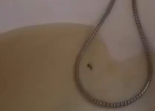 ΚΙΑΤΟ: Ο δήμαρχος Σ. Σταματόπουλος είναι υπόδικος για κακουργηματικές πράξεις στο Μονομελές Εφετείο Κακουργημάτων Ναυπλίου… -Τα έγγραφα…