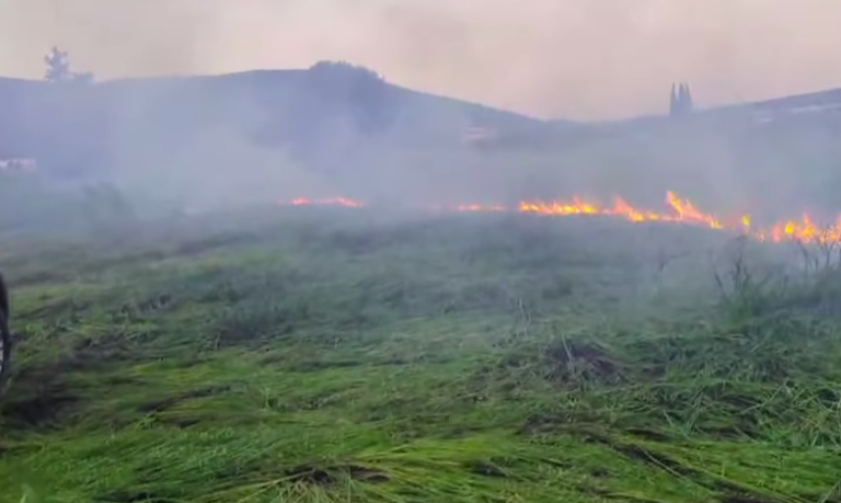 ΚΟΡΙΝΘΙΑ: Κάηκαν 3 στρέμματα από Καλάμια και μία κολώνα της ΔΕΗ τη Δευτέρα το απόγευμα! (φωτο- βίντεο)