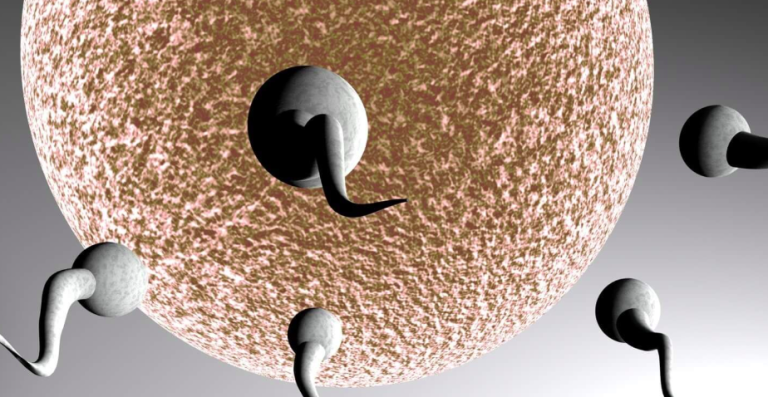 ΚΟΡΙΝΘΟΣ: Θα μιλήσουν για την υπογονιμότητα και την υπογεννητικότητα